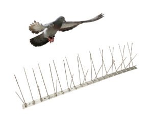 807bd4e3e8e930a229453e0ed6a1967a3ca0de87