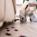 desinsectisation-elimination-cafards-ins-bretagne